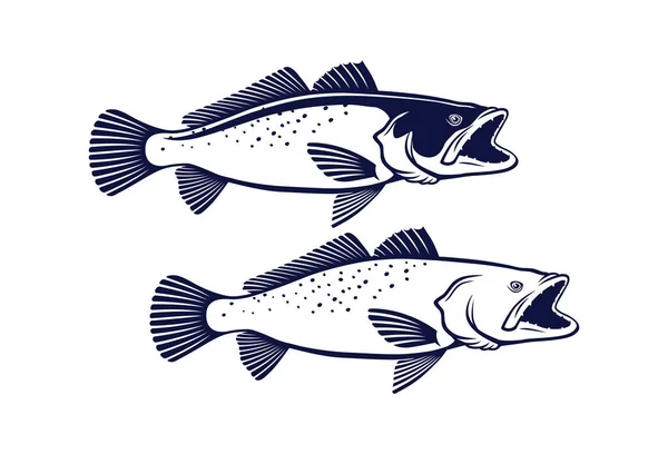 Sea Trout Fish Isolated White Vector Illustration — Stock Vector