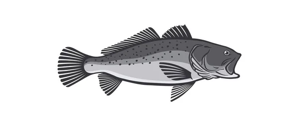 Beyaz Vektör Illüstrasyon Izole Deniz Alabalığı Balık — Stok Vektör