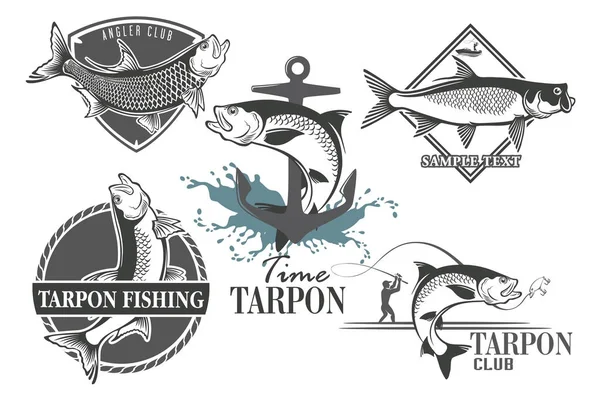 Tarpon Fish Isolated White Vector Illustration — Stock Vector