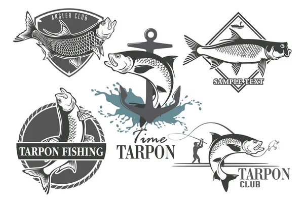 Tarpon izole üzerinde beyaz balık, illüstrasyon vektör