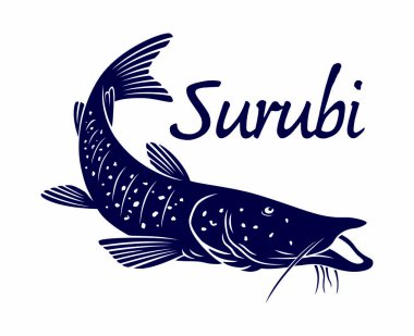 surubi balık kutsal kişilerin resmi, vektör çizim