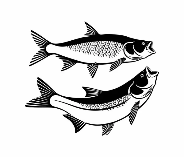 Asp Icône Poisson Illustration Vectorielle — Image vectorielle