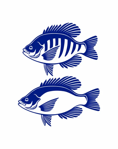 Bluegill Crappie Icon Vector Illustration — Stock Vector