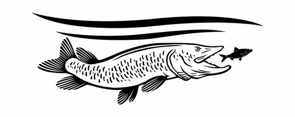 Pike Fish Icon Vector Illustration — Stock Vector