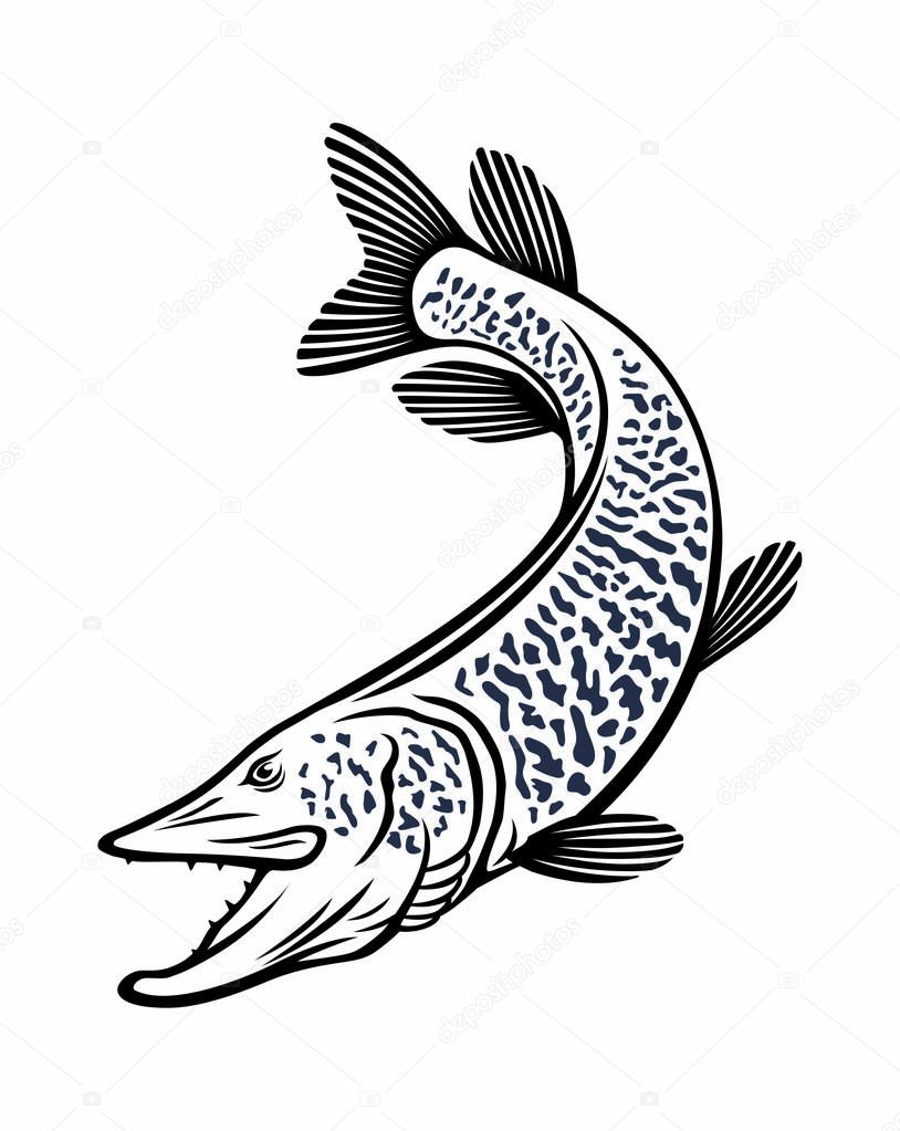 image muskie  fish icon, vector illustration