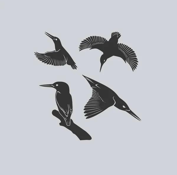 Pájaro pescador real — Archivo Imágenes Vectoriales