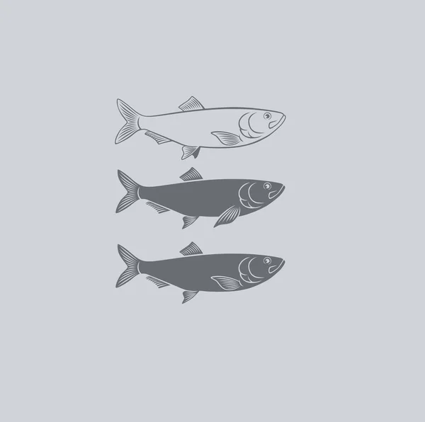 Fischhering — Stockvektor