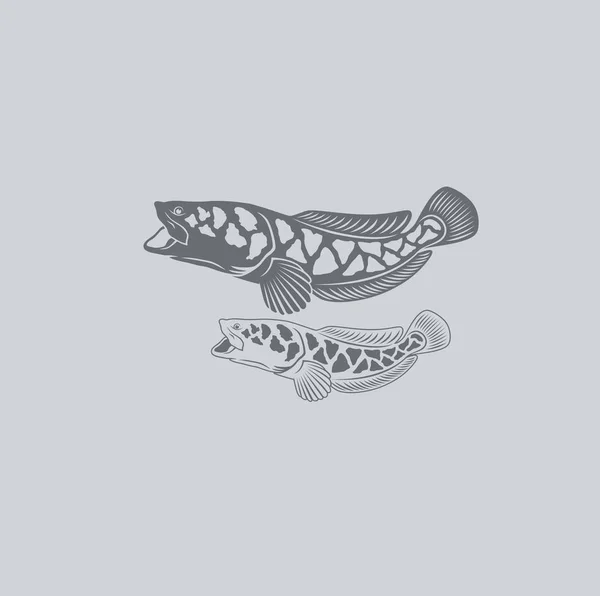 Kígyófejű hal — Stock Vector