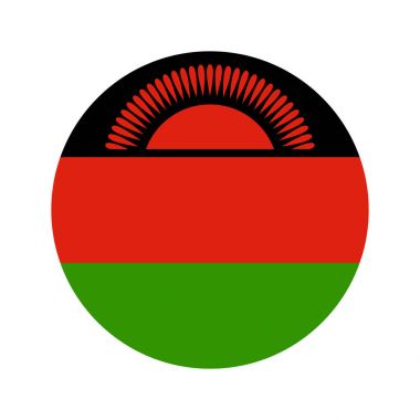 Dairesel dünya bayrak