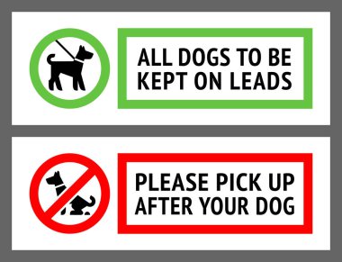 Köpeğe bir şey olmadı, ya da köpeğe bir şey olmadı.