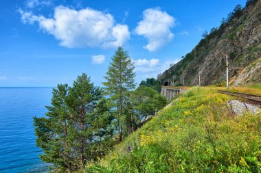 Çevre-Baykal demiryolu yakınındaki göl kıyısında iğne yapraklı ağaçlar.