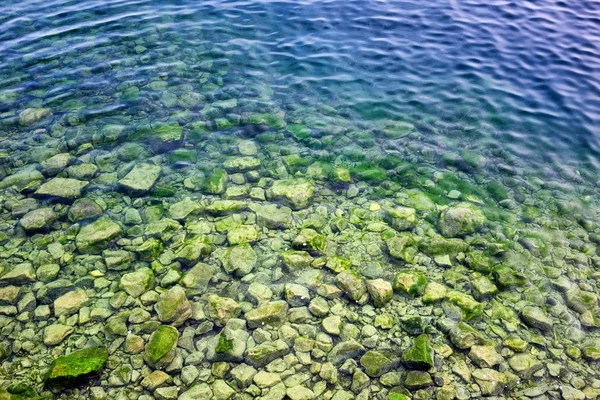 Spirogyra en las rocas de fondo en el agua del lago Baikal —  Fotos de Stock