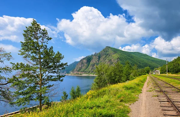 Circum-Baikal Railway, populieren op de oever Baikal Rechtenvrije Stockfoto's