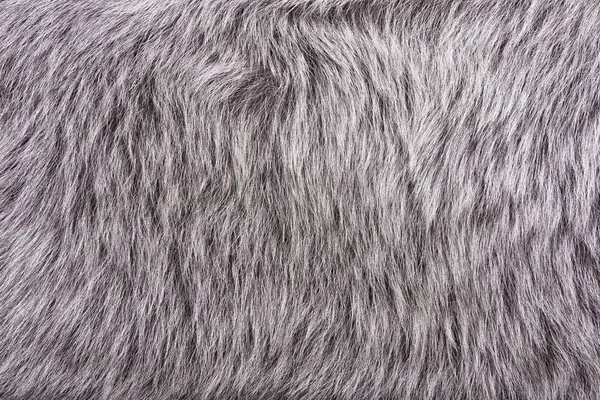 Pile sheepskin closeup — Stock Photo, Image