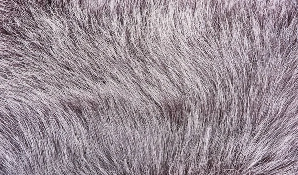 Pile sheepskin closeup — Stock Photo, Image