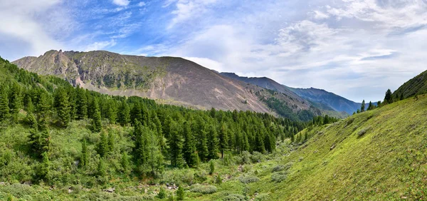 Taiga de montanha em uma encosta de vales e tundra — Fotografia de Stock