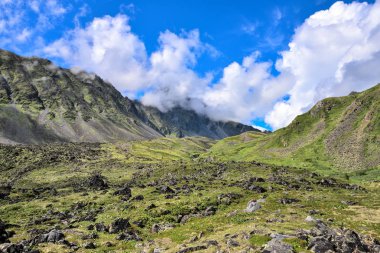 Tipik dağ tundra içinde Doğu Sibirya