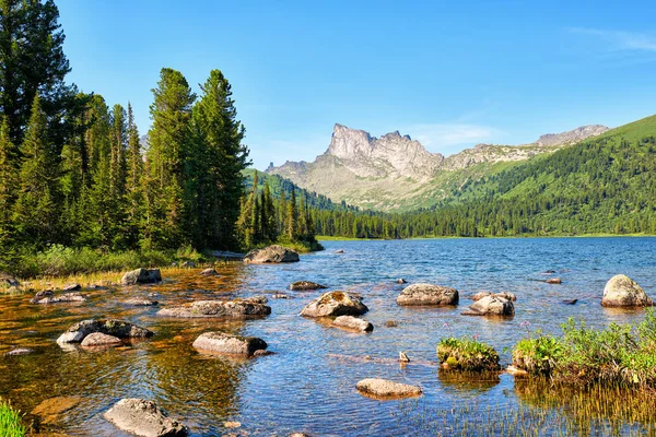 Jezero v horské tajgy — Stock fotografie