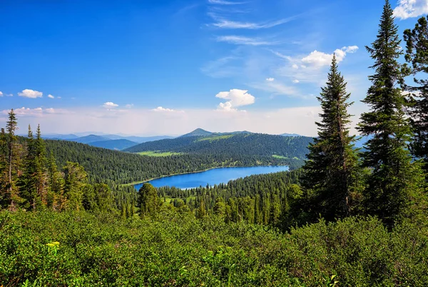 Lago en taiga de coníferas oscuras. Parque natural Ergaki . — Foto de Stock