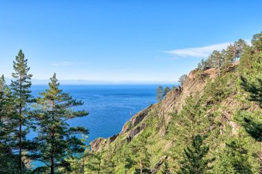 Çam ormanı ile kaplı sarp kayalar