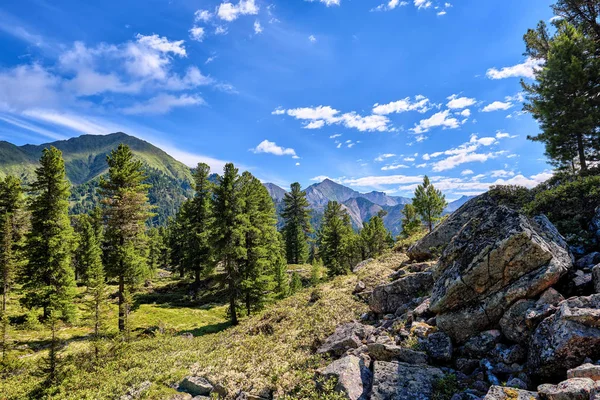 Mountainous territory — Stock Photo, Image