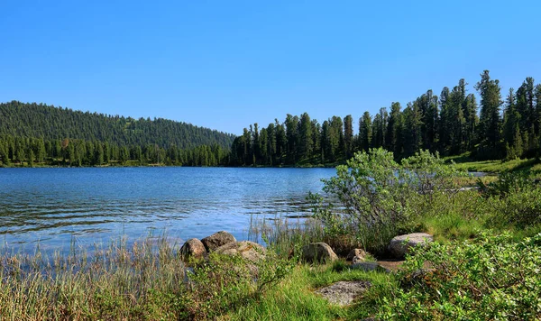 Shore of blue lake in taiga — Stock Photo, Image