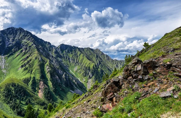 Siberian highlands in July — Stock Photo, Image