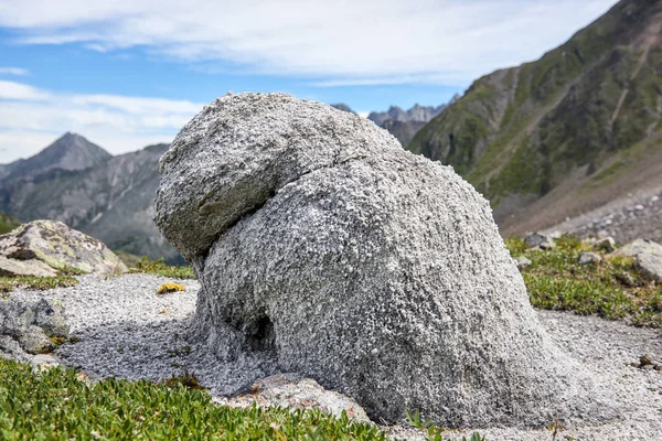 Felsvorsprung. Gestalt des Steins ähnelt dem Tier — Stockfoto
