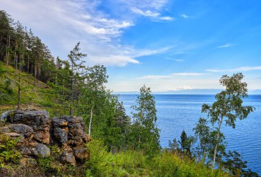 Ahşap ile büyümüş tepenin yamacında