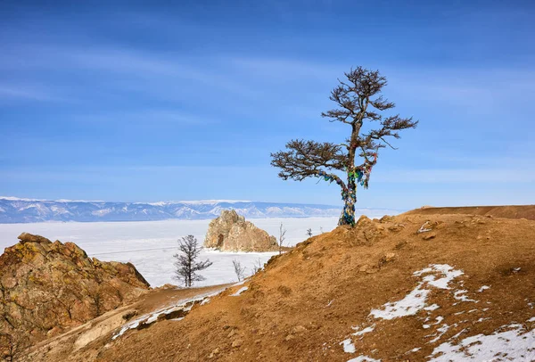 Tree of desires on shore of frozen lake Baikal — Stock Photo, Image