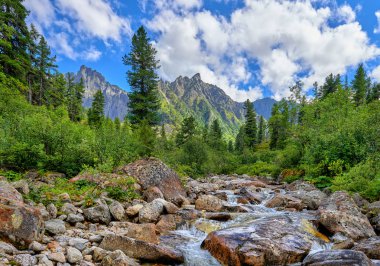 Sibirya'da ilkel orman dağ dere
