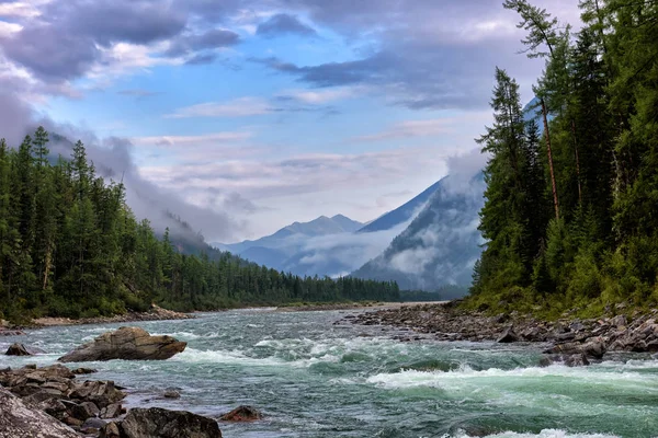 August morning at mountain rivulet — Stock Photo, Image