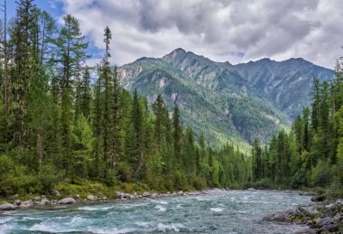 River rifts of darkly fast mountain river