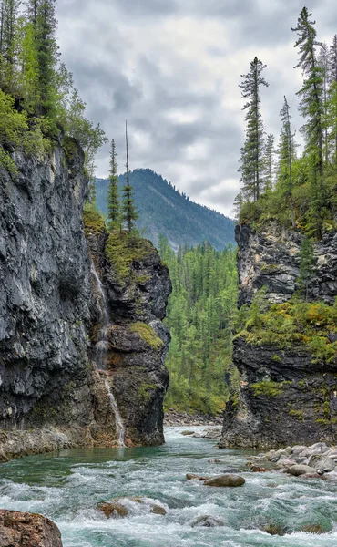 Paso estrecho de un río de montaña en un cañón cerrado — Foto de Stock