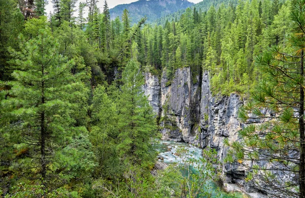 Cañón del río de montaña en la oscura taiga siberiana de coníferas —  Fotos de Stock