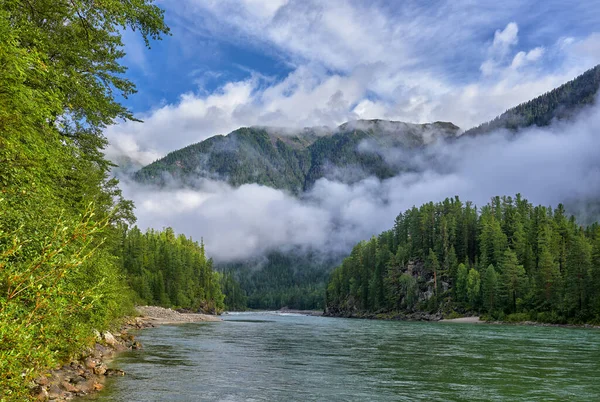 Ağustos 'ta Sibirya Nehri üzerinde sis — Stok fotoğraf