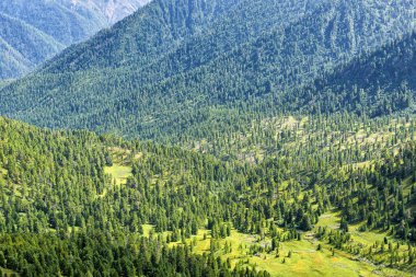 Güney Sibirya dağlarındaki Alp ormanları. Koyu kozalaklı tayganın geniş üst görüntüsü. Ağustos. Doğu Sayan. Tunkinsky Ulusal Parkı. Rusya