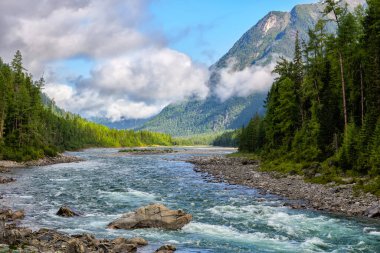 Dağlardaki fırtınalı küçük bir nehrin üzerinde alçak dağılmış bulutlar. İnanılmaz doğa üzerine Ağustos sabahı. Doğu Sibirya 'da bir nehir yatağının yakınındaki sıkıcı orman. Buryatia. Rusya