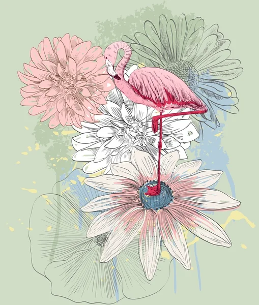 Flamant rose. Illustration vectorielle — Image vectorielle