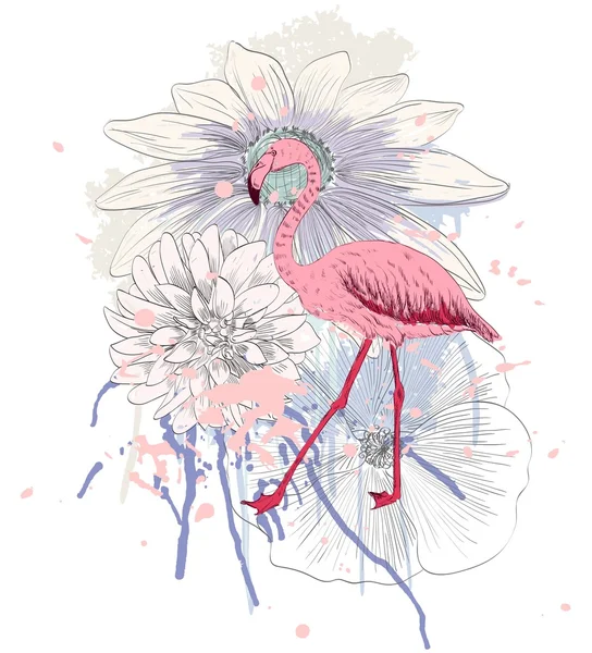 Flamingo. Vektorové ilustrace — Stockový vektor