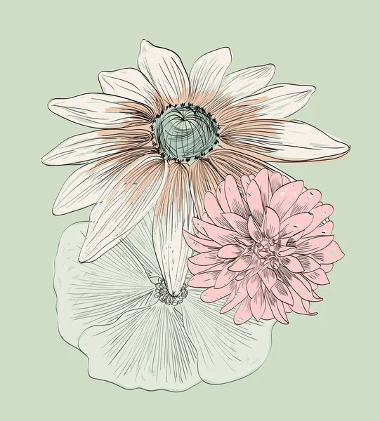 Daisy draw — Stock Photo © bioraven #5376773