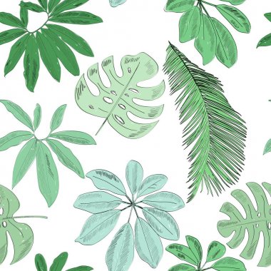 Tropik, pürüzsüz desen