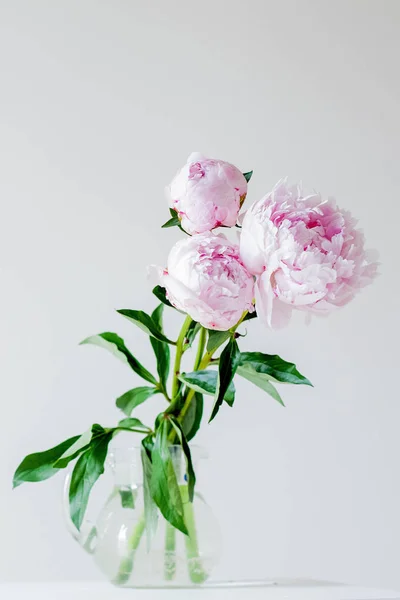 Bouquet of peonies