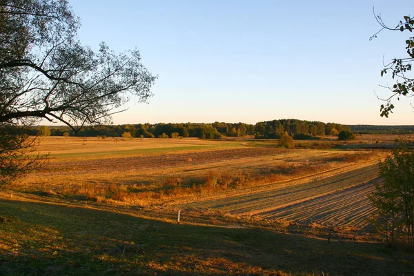 Осінній поля в Литві, Європа — стокове фото