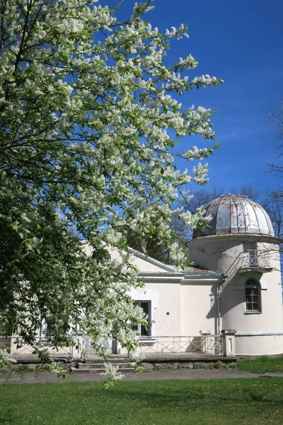 Eski Gözlemevi binalar Vilnius Üniversitesi — Stok fotoğraf