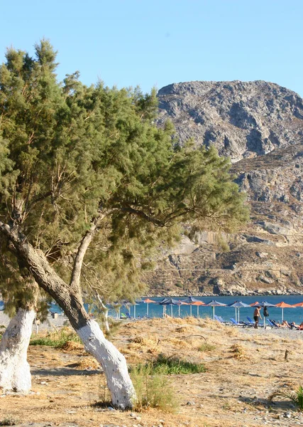 Plakias strand Kréta, Görögország — Stock Fotó