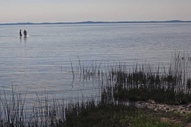 Curonian Gölünün Görünümü