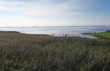 Curonian Gölünün Görünümü