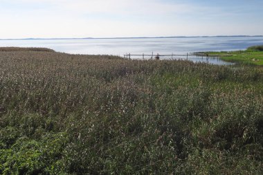 Curonian Gölünün Görünümü