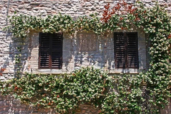 Old window in Assisi — Zdjęcie stockowe